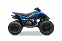 CFMOTO Gladiator X110 LE